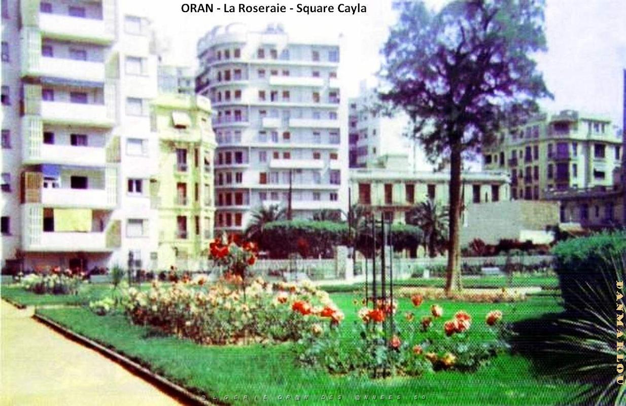 FM j- 004- Square Cayla- La roseraie.jpg